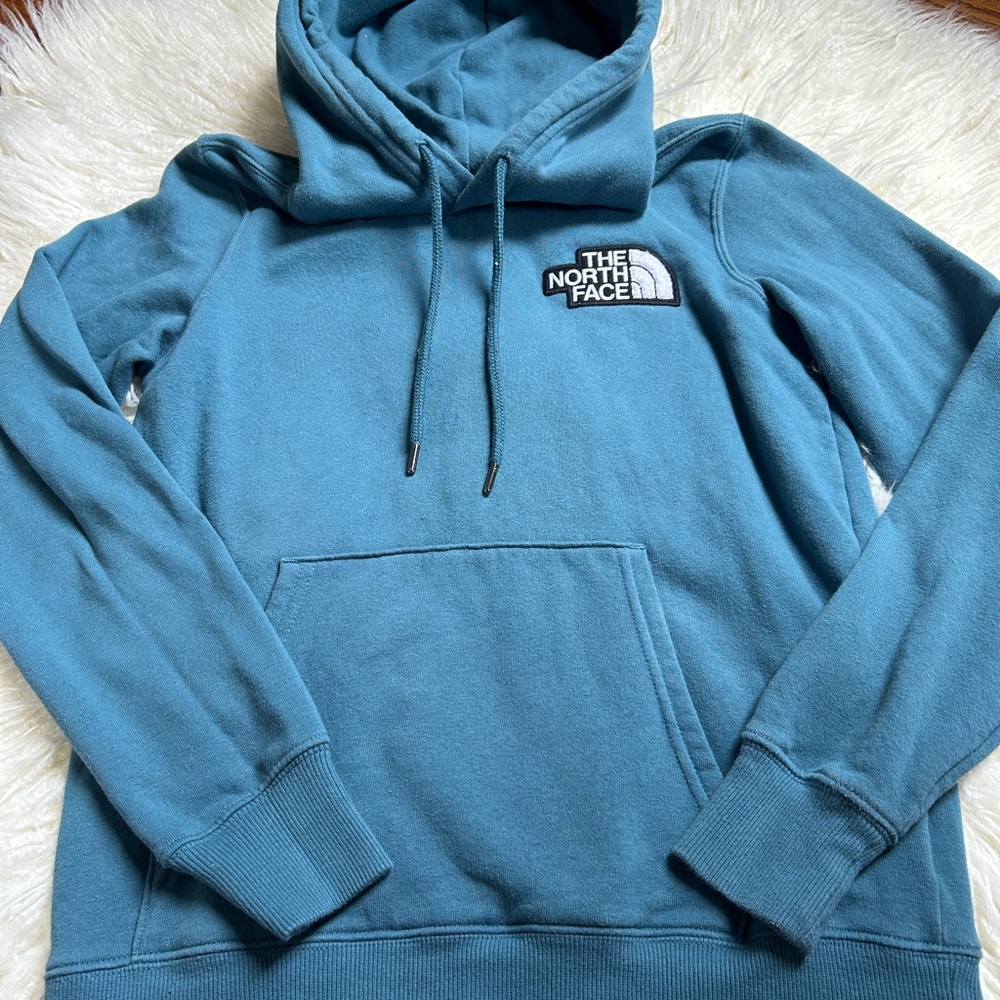 The North Face Men's Teal Hoodie